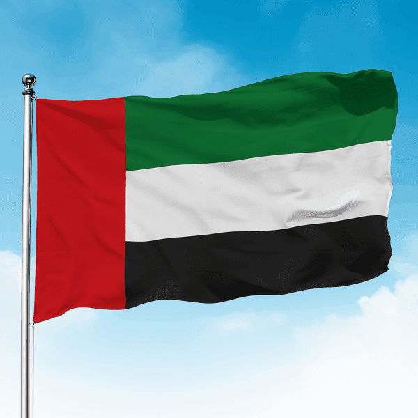 Dubai Vize